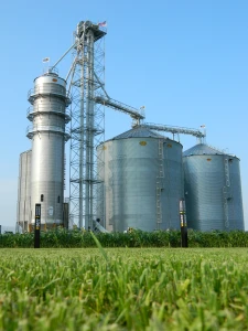 Instead of barns, our grain dryer and bins tower over our fields and home. 