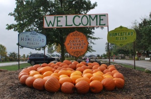Welcome to the Great Pumpkin Patch