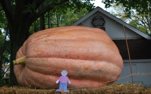 4th largest pumpkin in IL