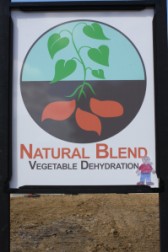 Natural Blend