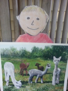 Figure 15. Aggie is holding a painting of our alpaca boys.